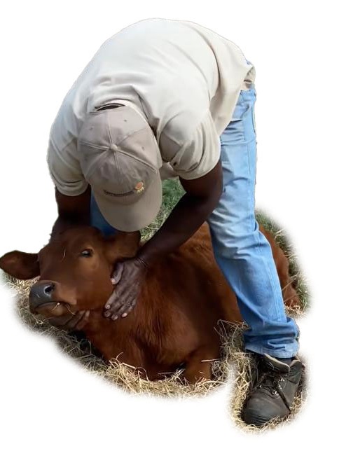AOChem Agri